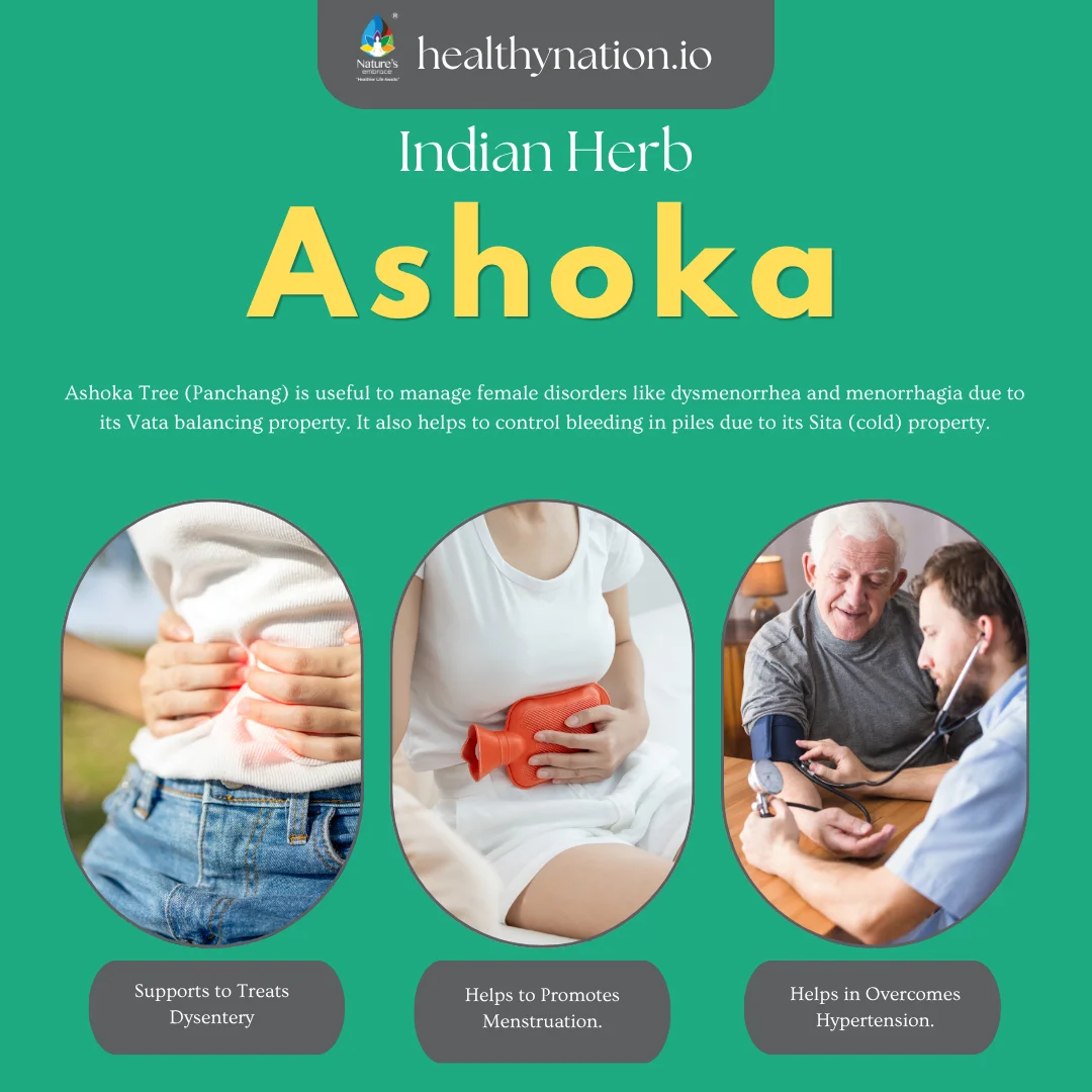 Ashoka Powder - Image 2