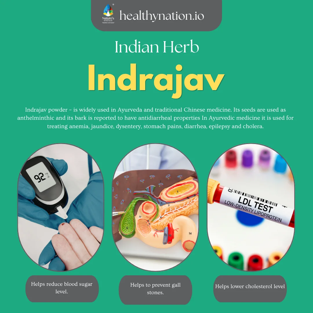 Indrajav - Image 2