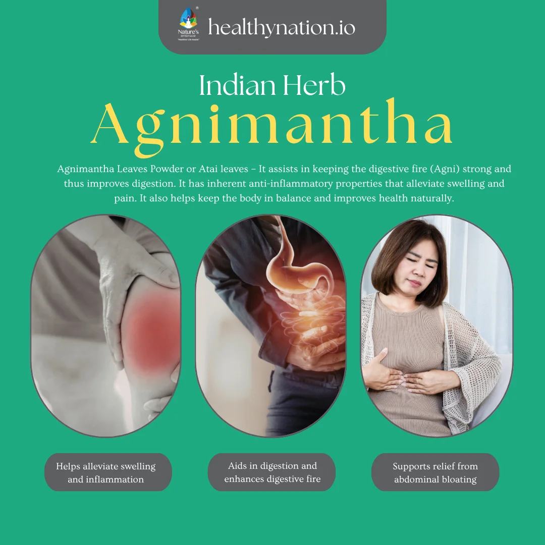 Agnimantha Leaves - Image 2