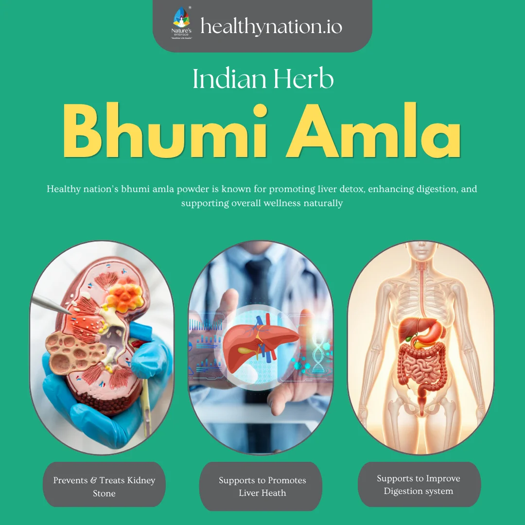 Bhumi Amla - Image 2