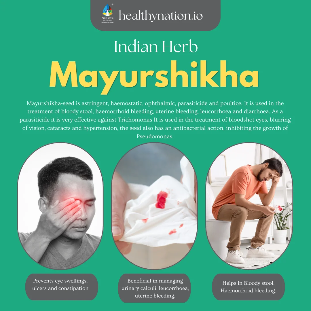 Mayurshikha - Image 2