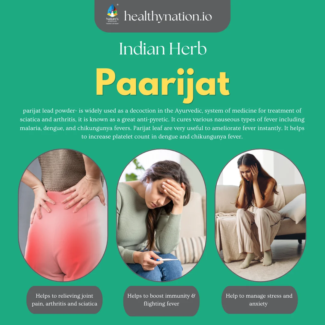 Parijat - Image 2